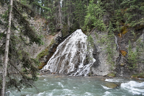 waterfall in the forest