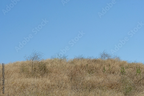 Desert hill with dry brush and blue sky