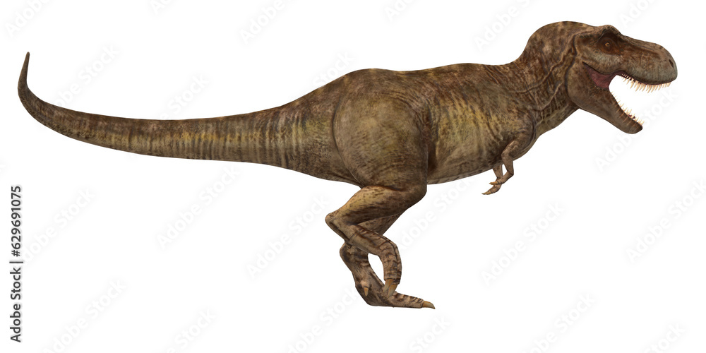 Tyrannosaurus isolated on a Transparent Background Tyrannosaurus isolated on a Transparent Background