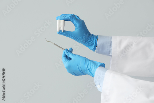 Photos Female doctor's hands with dental scaler and tooth model on grey background