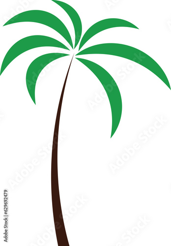 palm tree vector illustration