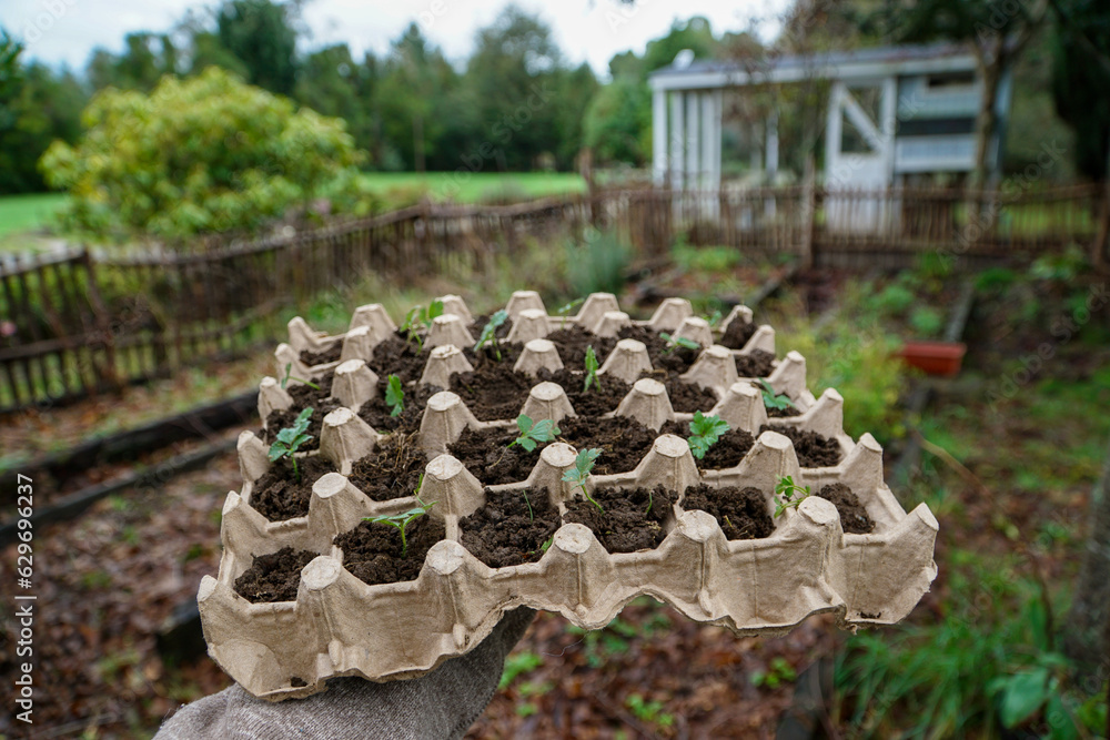 Fototapeta premium Global warning