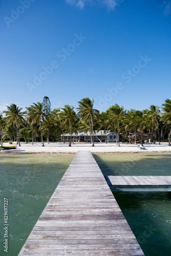 dock at a lake with palm trees