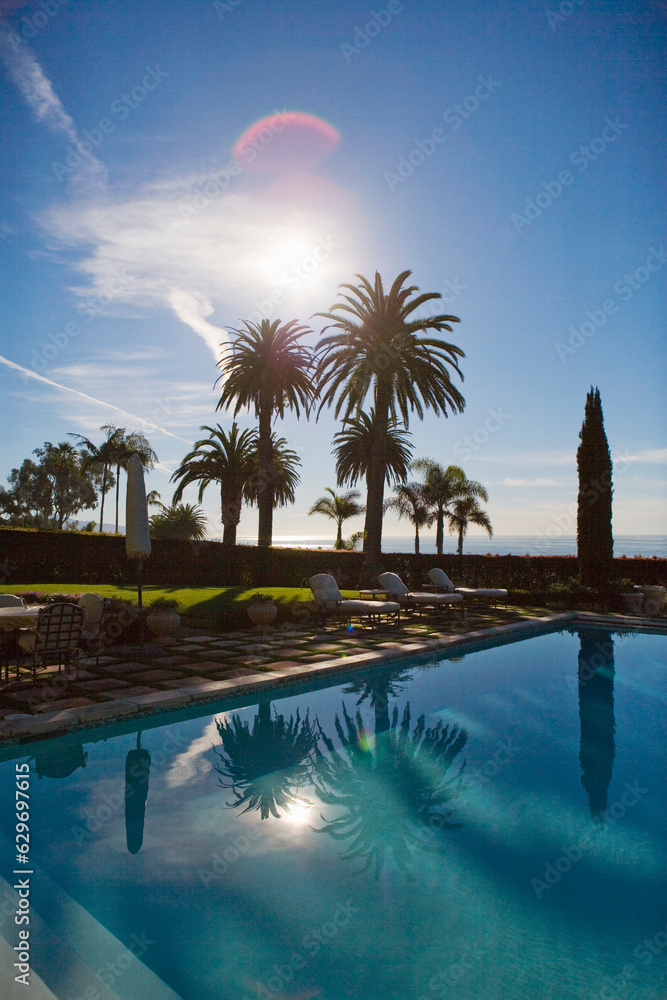 pool and palm trees