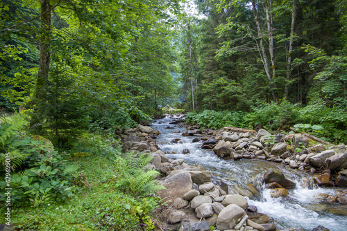 Mountain stream in the forest. Landscape with a mountain river.