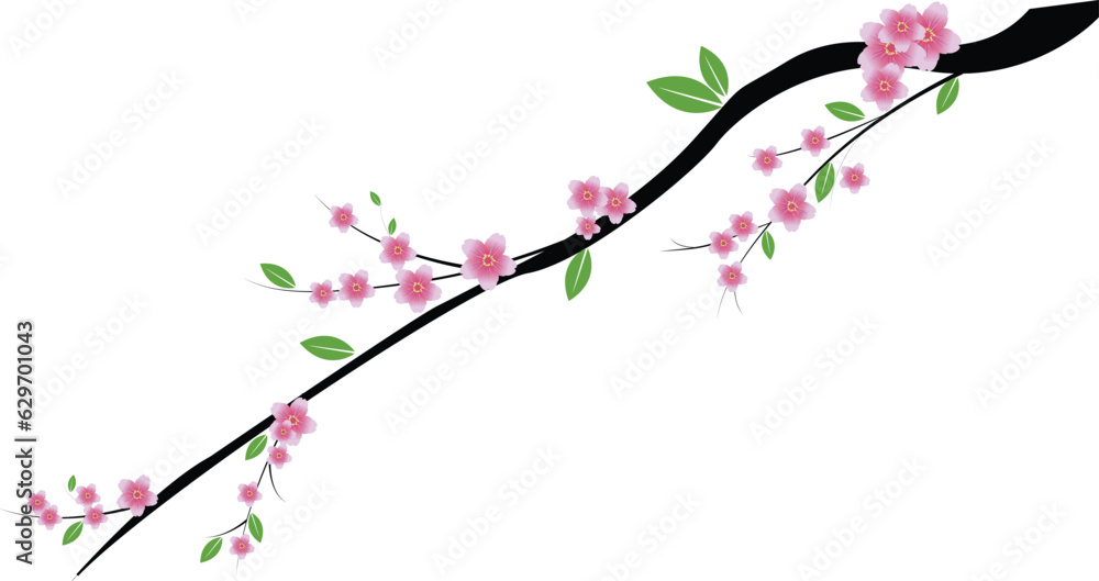 Fototapeta premium Cherry blossom with branch, design material vector isolated for design
