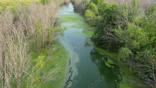 Serene river flowing through a vibrant green werland photo