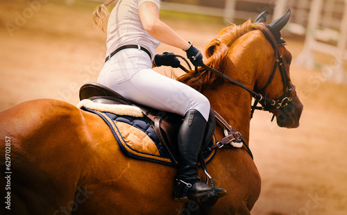 A beautiful fast racehorse with a rider in the saddle gallops around the arena on a sunny day. Equestrian sports and horse riding. Activity with horses.