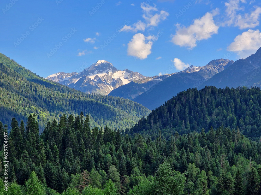 Amazing green forest and mountains. Coniferous trees in summer and a snowy mountain in the background with clouds. Minimalist photo. Arkhyz, Karachay-Cherkessia, Russia