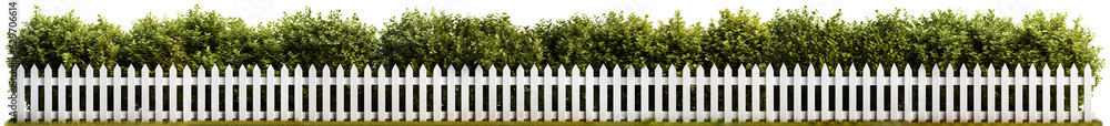 Isolated white fence with hedge