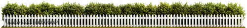 Isolated white fence with hedge