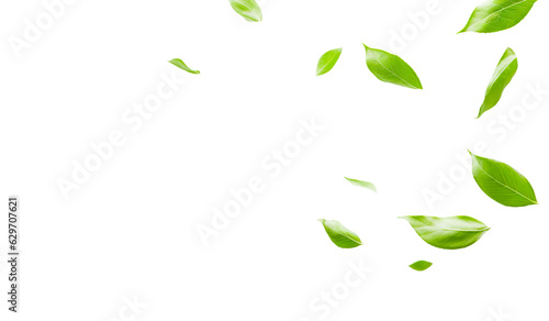 Green leaves isolated on transparent background. Green Floating Leaves Flying Leaves Green Leaf Dancing, Air Purifier Atmosphere Simple Main Picture, png
