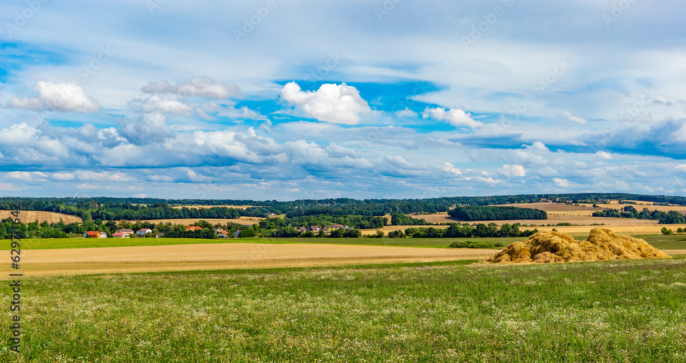 Summer rural landscape with fields and forests Summer rural landscape with fields and forests