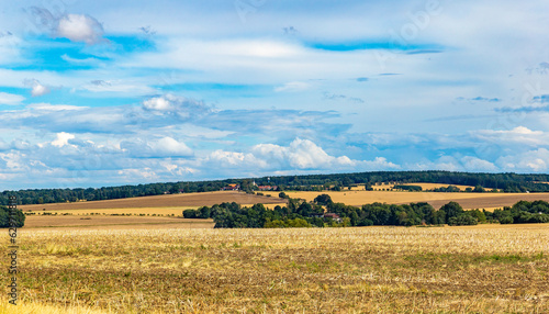 Summer rural landscape with fields and forests