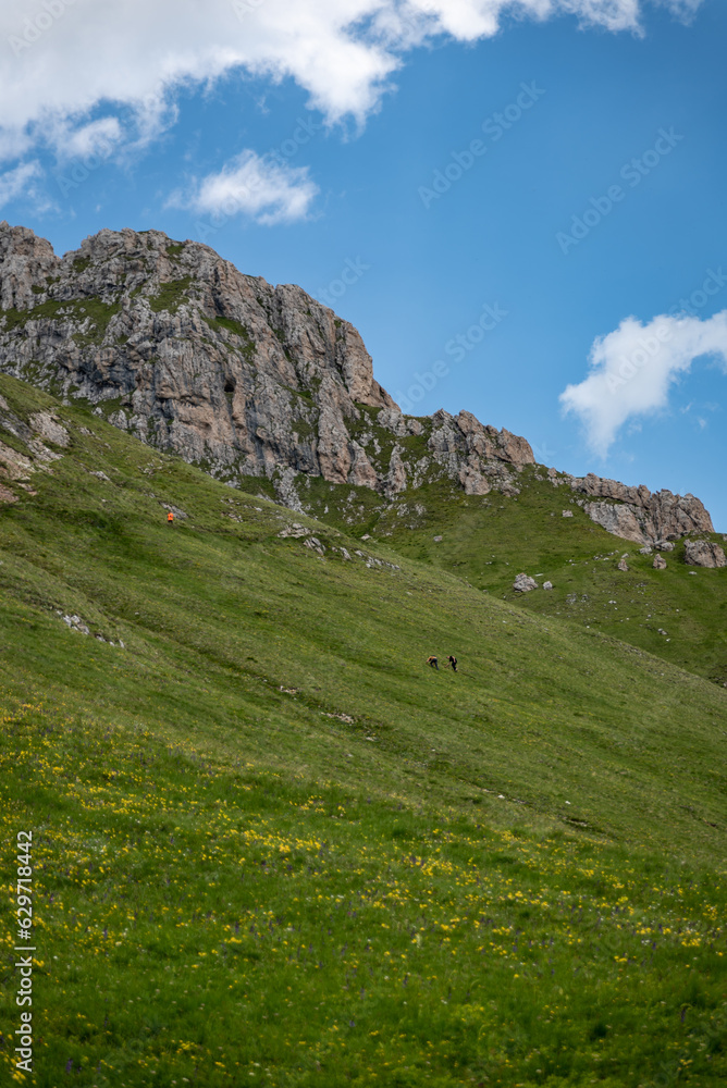 dolomiti, Val Badia e Val Pusteria