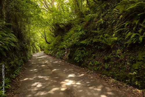 Landscapes of Exmoor National Park