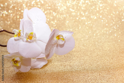 Fototapeta Naklejka Na Ścianę i Meble -  A branch of white orchids on a shiny gold background
