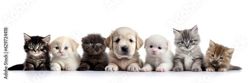 cute puppies and kittens peeking over web banner isolated white background. Generative AI