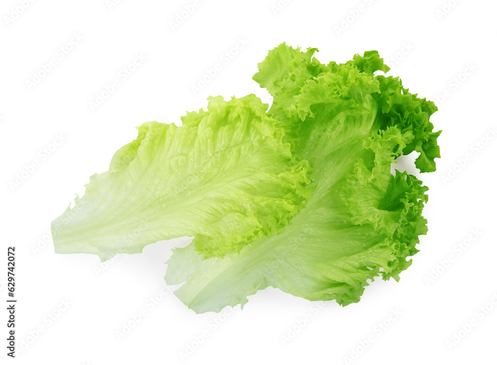 Fresh green lettuce leaves isolated on white, top view - obrazy, fototapety, plakaty 