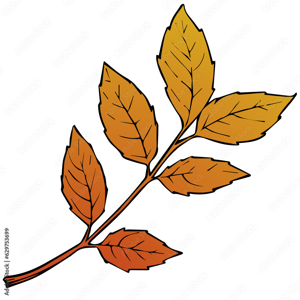 Single branch of autumn leaves element