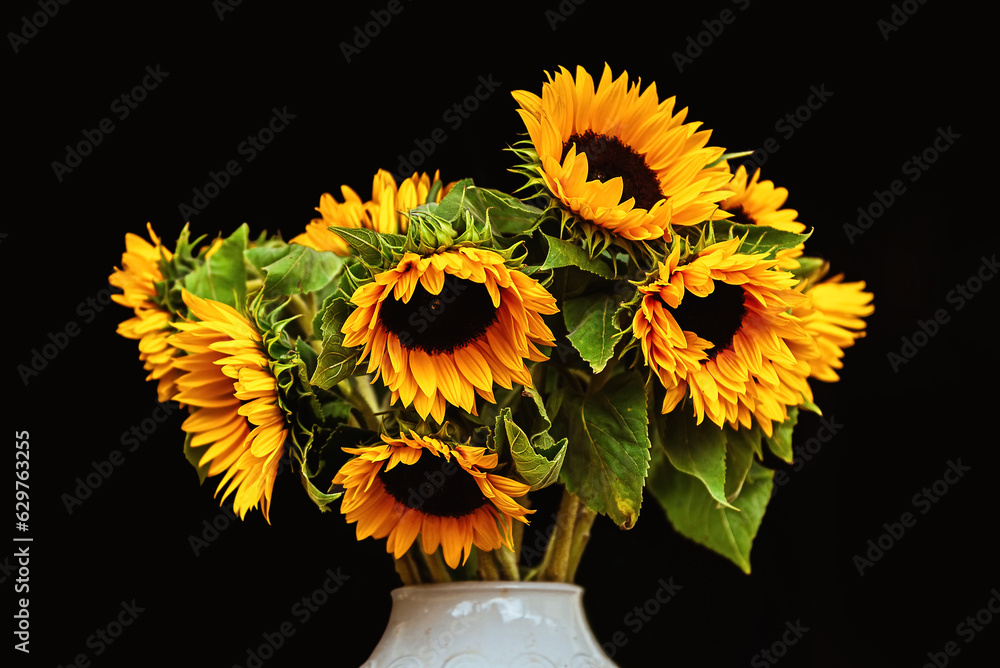 Obraz premium Bouquet of sunflowers in a white vase on a black background. isolate