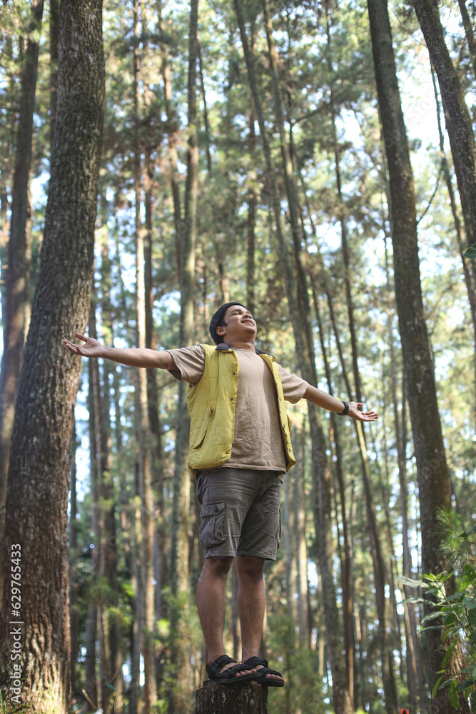 Low angle view of smiling young man standing on tree stump, outstretching arms, feel happy and free in the middle of beautiful forest and trees. 