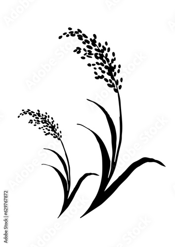 Rice illustration icon
