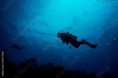 Caribbean Diver © Eduardo