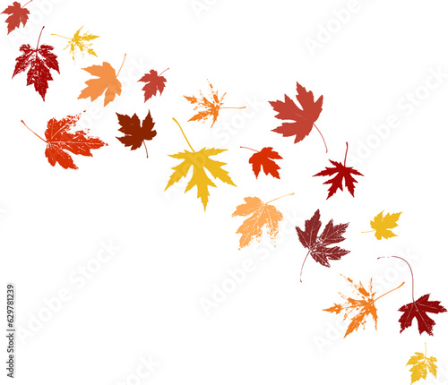 Autumn maple leaves, orange fall leaf, thanksgiving or halloween design elements in orange red and yellow autumn colors, seasonal clip art or png design elements for border or background illustrations