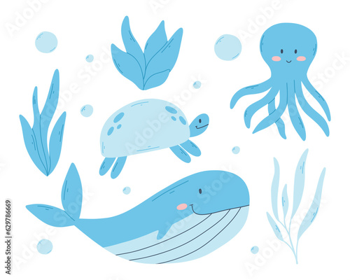 Photography Set of sea animals and algae in flat style