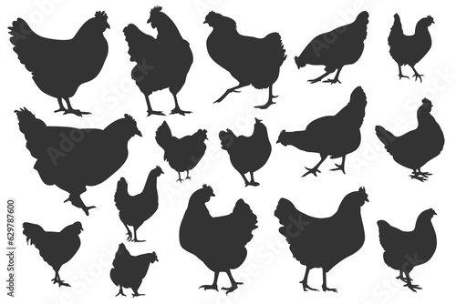 Set of hen silhouette