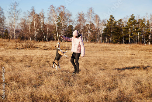 A girl plays with a beagle dog in an autumn park. The friendship between owner and dog