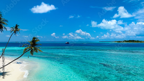 Fototapeta Naklejka Na Ścianę i Meble -  Summer palm tree  and Tropical beach with ocean blue  background