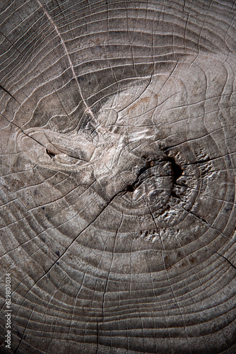Old wood texture. Lining boards wall. Wooden background. pattern. Showing growth rings