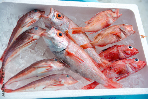 のどぐろ　アカムツ