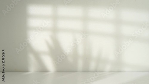 empty room with window shadow