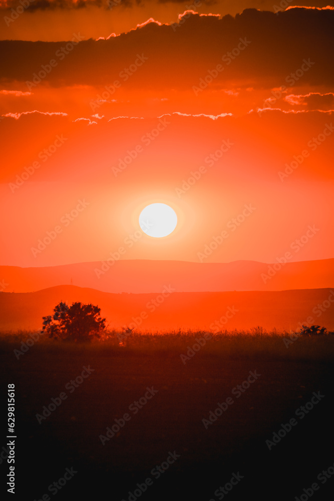 Red sunset and tree silhouette Red sunset and tree silhouette