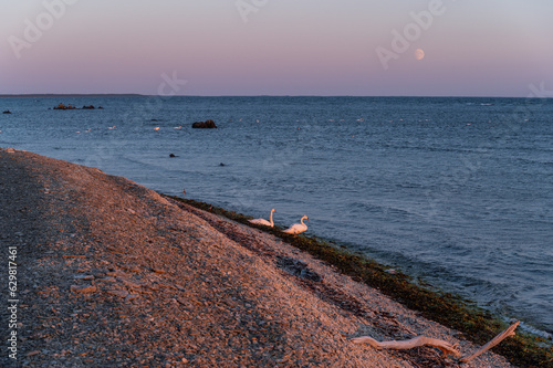 Osmussaare beach view