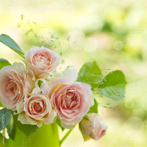 Fototapeta Naklejka Na Ścianę i Meble -  pink rose flowers on beautiful blur background. Pink roses bouquet in a garden