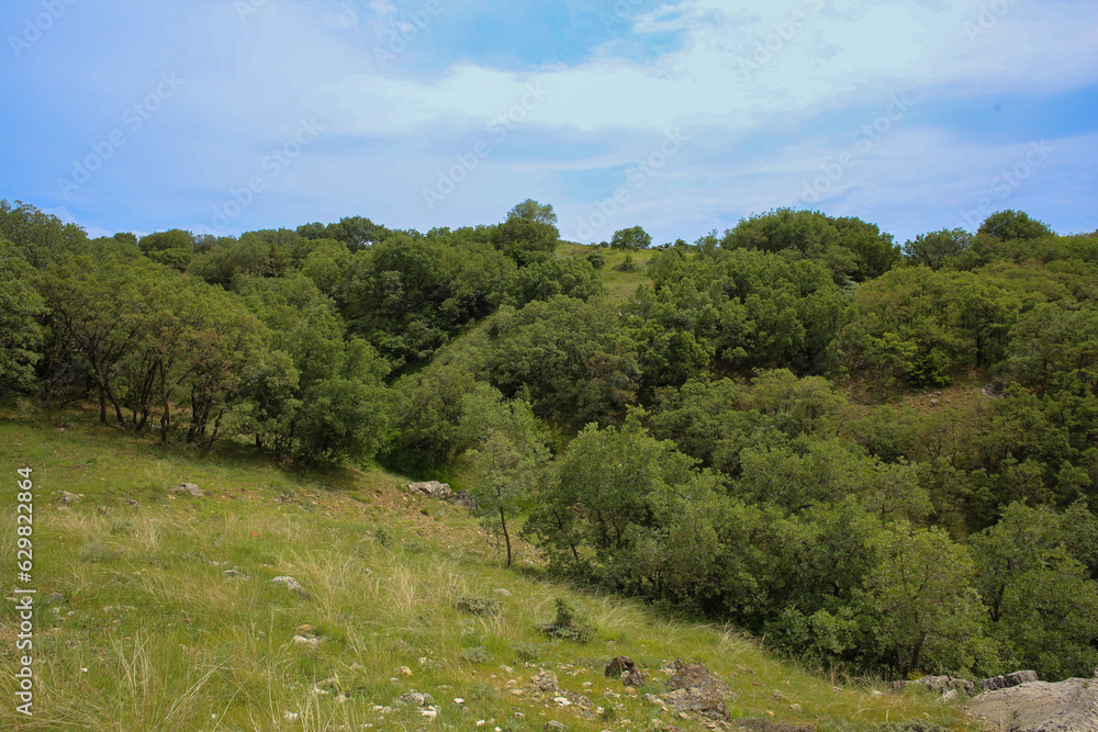 Obraz premium landscape in summer