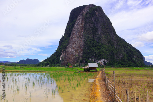 Rice field and mountain at Muang Fuang, Laos. photo