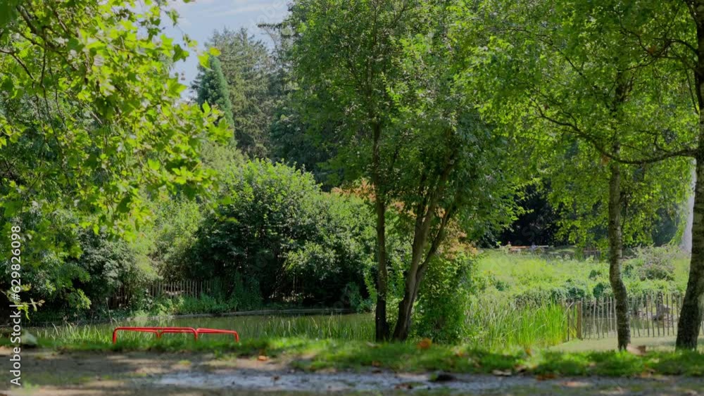 Medium shot of the Flora (Trees, grass, plants) and a Pond in Park (Türkenschanzpark) in Vienna during a sunny day at noon in slow motion. Shot in 4K with Sony FX3. Medium shot of the Flora (Trees, grass, plants) and a Pond in Park (Türkenschanzpark) in Vienna during a sunny day at noon in slow motion. Shot in 4K with Sony FX3.