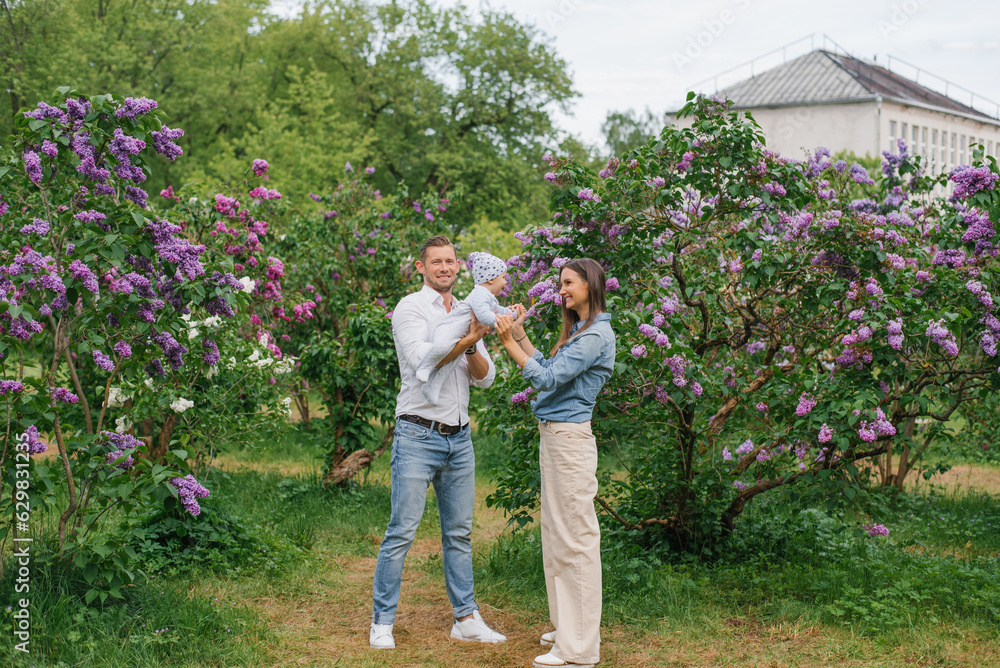 Mother, father and little son are walking in a spring blooming park. A happy mom and dad with a small child are having fun near the lilac. The concept of a happy family. Mother, father and little son are walking in a spring blooming park. A happy mom and dad with a small child are having fun near the lilac. The concept of a happy family.
