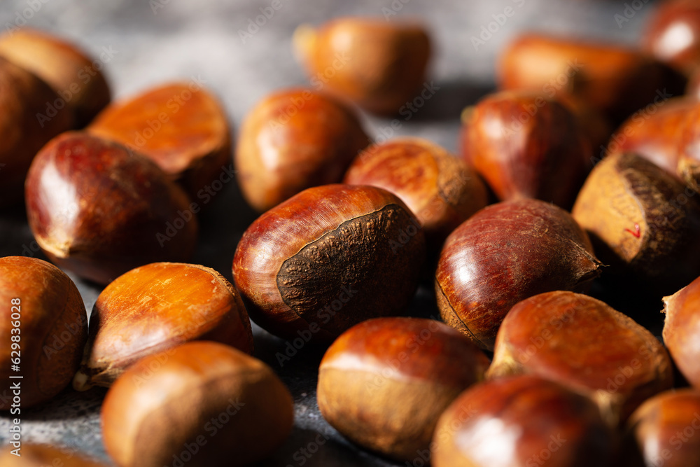 Obraz premium fresh chestnut close-up