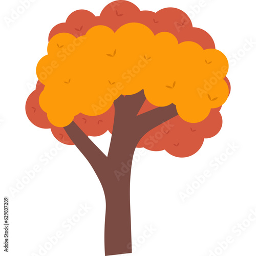 Autumn Tree