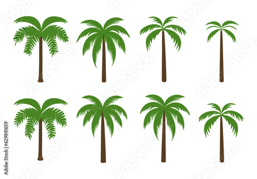 Palm tree vector set isolated on white background