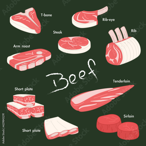 Beef Elements of Different Parts of Cow Illustration Vector
