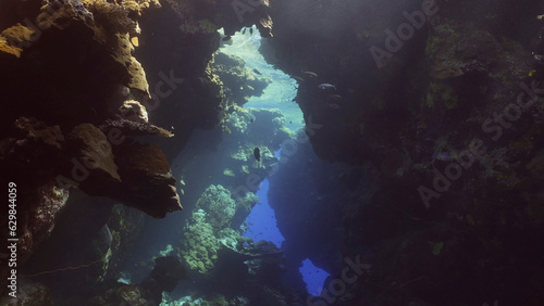 Fototapeta Naklejka Na Ścianę i Meble -  Sunshine penetrate the underwater coral cave and illuminate it. Tropical fish swim inside coral caves in the sunrays penetrating from the surface, Red sea, Egypt