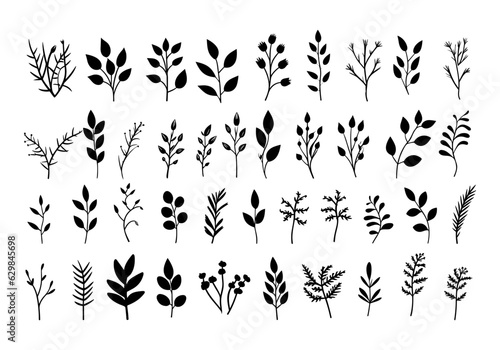 Big collection of hand drawn herbs. Vector illustration isolated on white background