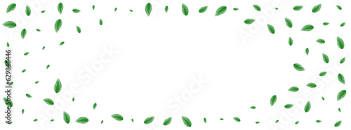Light Green Leaf Background White Vector. Leaves Drink Frame. Motion Design. Greenish Wild Illustration. Vegetation Growing.